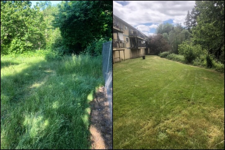 Grass Cutting